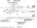 Fig. 04 - ANTI-THYMOCYTE GLOBULIN COMPOSITIONS AND METHODS