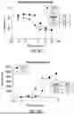 Fig. 19 - ANTI-THYMOCYTE GLOBULIN COMPOSITIONS AND METHODS