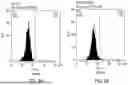 Fig. 20 - ANTI-THYMOCYTE GLOBULIN COMPOSITIONS AND METHODS