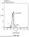 Fig. 22 - ANTI-THYMOCYTE GLOBULIN COMPOSITIONS AND METHODS