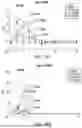 Fig. 40 - ANTI-THYMOCYTE GLOBULIN COMPOSITIONS AND METHODS