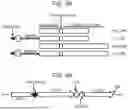 Fig. 09 - BISPECIFIC CHIMERIC ANTIGEN RECEPTORS AND ENCODING POLYNUCLEOTIDES, VECTORS AND CELLS THEREOF