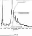 Fig. 07 - MODIFIED ANTIBODY CONSTANT REGION