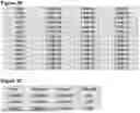 Fig. 06 - ANTI-CD3 ANTIBODIES AND METHODS OF USE