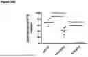 Fig. 100 - ANTI-CD3 ANTIBODIES AND METHODS OF USE