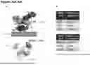 Fig. 137 - ANTI-CD3 ANTIBODIES AND METHODS OF USE