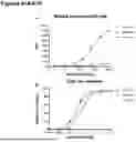 Fig. 153 - ANTI-CD3 ANTIBODIES AND METHODS OF USE