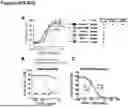 Fig. 159 - ANTI-CD3 ANTIBODIES AND METHODS OF USE