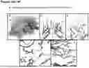Fig. 34 - ANTI-CD3 ANTIBODIES AND METHODS OF USE