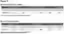 Fig. 41 - ANTI-CD3 ANTIBODIES AND METHODS OF USE