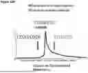 Fig. 83 - ANTI-CD3 ANTIBODIES AND METHODS OF USE