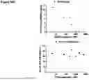 Fig. 91 - ANTI-CD3 ANTIBODIES AND METHODS OF USE