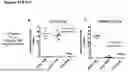 Fig. 98 - ANTI-CD3 ANTIBODIES AND METHODS OF USE