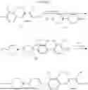 Fig. 07 - Liquid Crystal Medium