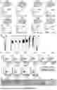 Fig. 03 - ANTIBODIES, ANTIBODY CONSTRUCTS, METHODS AND USES THEREOF