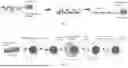 Fig. 02 - MACROPHAGE-MODIFICATION TECHNIQUE FOR TREATING METASTATIC SOLID TUMORS