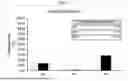 Fig. 07 - CULTIVATION METHOD FOR ENHANCING DIFFERENTIATION EFFICIENCY AND FUNCTIONALITY OF NK CELLS