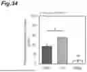 Fig. 35 - ARTIFICIAL FAT TISSUE AND METHOD FOR PRODUCING SAME, METHOD FOR PRODUCING ARTIFICIAL SKIN AND AGENT FOR FAT CELL CULTURE