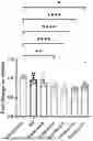 Fig. 01 - METHODS AND COMPOSITIONS FOR TREATING EPILEPSY