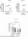 Fig. 44 - METHODS AND COMPOSITIONS FOR TREATING EPILEPSY