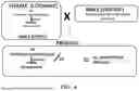 Fig. 06 - MANIPULATION OF DOMINANT MALE STERILITY