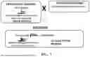 Fig. 09 - MANIPULATION OF DOMINANT MALE STERILITY