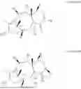 Fig. 04 - METHOD FOR BIOLOGICAL TOTAL SYNTHESIS OF PACLITAXEL PRECURSOR SUBSTANCE BACCATIN III, BIOLOGICAL MATERIAL AND USE THEREOF