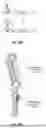 Fig. 117 - COMPOSITIONS AND METHODS FOR CONTROLLED MRNA TRANSLATION AND STABILITY