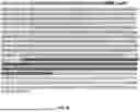 Fig. 224 - COMPOSITIONS AND METHODS FOR CONTROLLED MRNA TRANSLATION AND STABILITY
