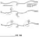Fig. 77 - COMPOSITIONS AND METHODS FOR CONTROLLED MRNA TRANSLATION AND STABILITY