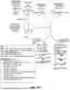 Fig. 86 - COMPOSITIONS AND METHODS FOR CONTROLLED MRNA TRANSLATION AND STABILITY