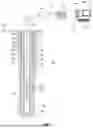 Fig. 02 - DATA-DRIVEN CONSTRAINED MODEL FOR CORROSION INSPECTION TOOLS