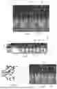Fig. 03 - Firearm suppressor baffle and method