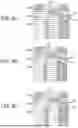 Fig. 06 - DIVERGING CENTRAL BORE FOR FIREARM SOUND SUPPRESSOR