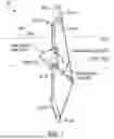 Fig. 02 - ARCHERY GRIPS AND STABILIZERS