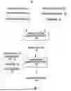 Fig. 02 - Generation of Multi-Dimensional Content Slots to Increase Display Availability of User Interfaces