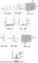 Fig. 02 - QUANTIFICATION OF IMMUNOLOGICAL STATUS AND TREATMENT PLANNING