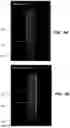 Fig. 07 - METHODS AND APPARATUS PROVIDING CALIBRATION OF FOREGROUND ILLUMINATION FOR SAMPLE CONTAINER CHARACTERIZATION