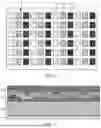 Fig. 02 - Display Substrate and Preparation Method Therefor, and Display Device