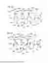 Fig. 06 - IMAGE FORMING APPARATUS