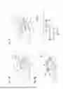 Fig. 06 - MOVEMENT COMPRISING A STRIKING DEVICE