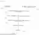 Fig. 04 - IMAGE AIDED CONSTRUCTION