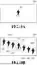 Fig. 11 - IMAGE PROCESSING APPARATUS, IMAGE PROCESSING METHOD, AND STORAGE MEDIUM
