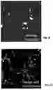Fig. 07 - SYSTEM FOR HIGH-THROUGHPUT DATA MEASUREMENTS OF SINGLE SYNAPSES