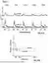 Fig. 28 - SYSTEM FOR HIGH-THROUGHPUT DATA MEASUREMENTS OF SINGLE SYNAPSES