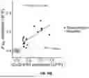 Fig. 32 - SYSTEM FOR HIGH-THROUGHPUT DATA MEASUREMENTS OF SINGLE SYNAPSES