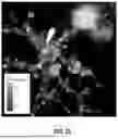 Fig. 35 - SYSTEM FOR HIGH-THROUGHPUT DATA MEASUREMENTS OF SINGLE SYNAPSES