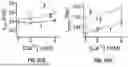 Fig. 40 - SYSTEM FOR HIGH-THROUGHPUT DATA MEASUREMENTS OF SINGLE SYNAPSES