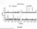 Fig. 46 - SYSTEM FOR HIGH-THROUGHPUT DATA MEASUREMENTS OF SINGLE SYNAPSES