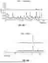 Fig. 48 - SYSTEM FOR HIGH-THROUGHPUT DATA MEASUREMENTS OF SINGLE SYNAPSES